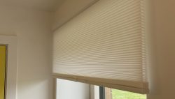 Duette Pleated Blinds