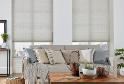 Duette Pleated Blinds