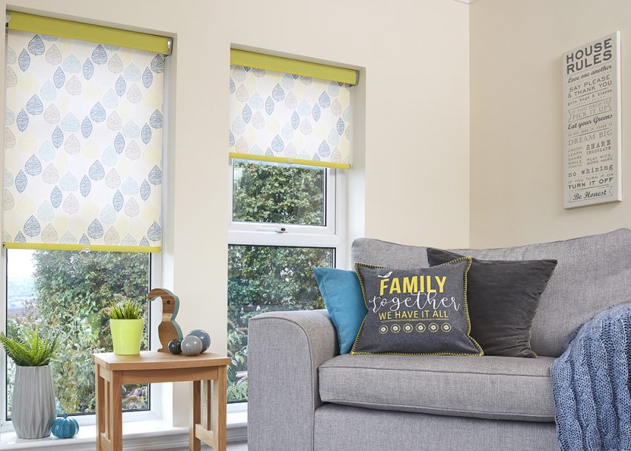 Roller blinds in living room