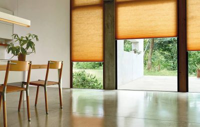 Duette Pleated Blinds